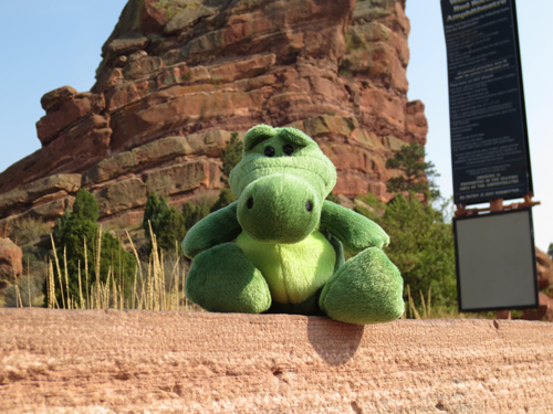 Gator at Red Rocks Gator at Red Rocks