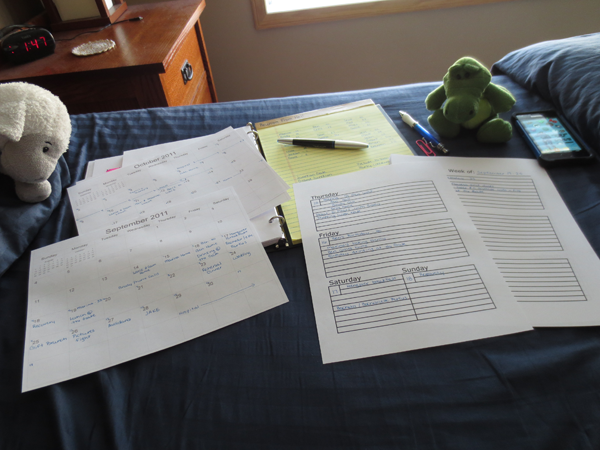 Sheep and Gator can't decipher my plans