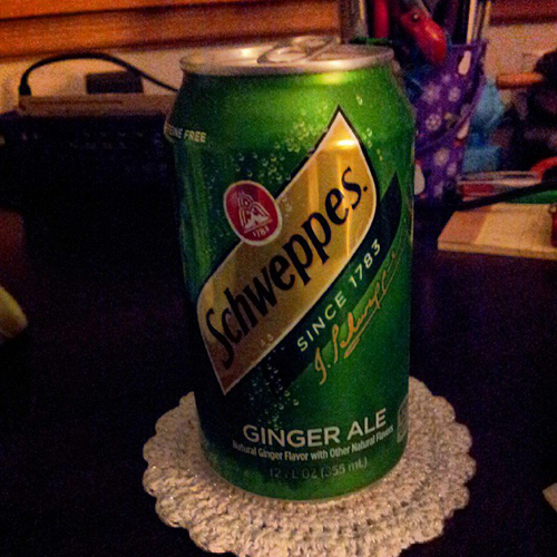 Ginger Ale...not on a plane...