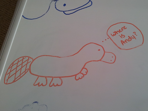 Andy Grammer and a Platypus...