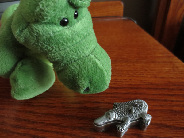 Gator is curious about the gator box...