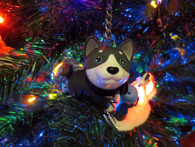 2018 is the Year of the Dog...