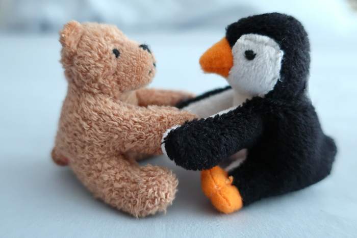 The bear to my penguin... The bear to my penguin...