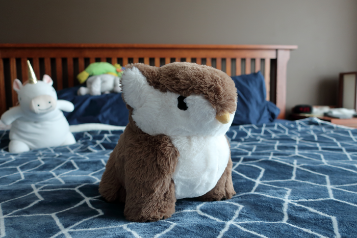 Owl. Bear.