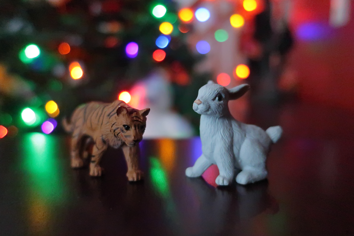 Out with the Tiger...in with the Rabbit...