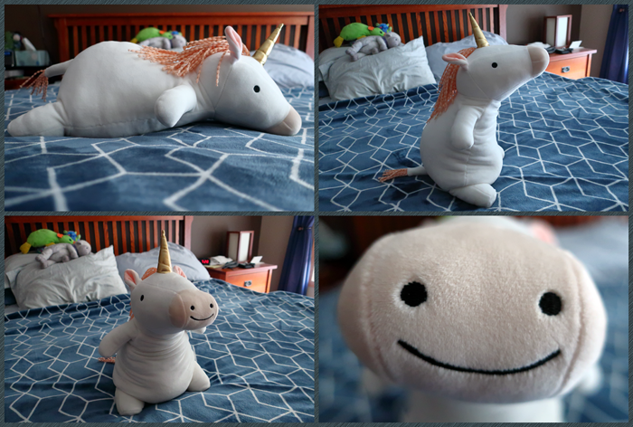 Oh hai.
