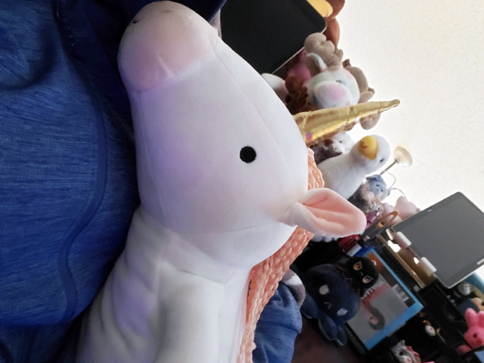 Oh hai.