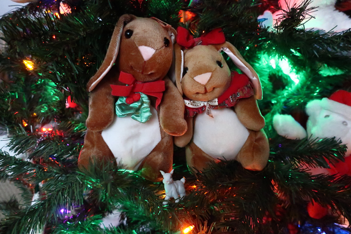 Year of the Rabbit... Year of the Rabbit...