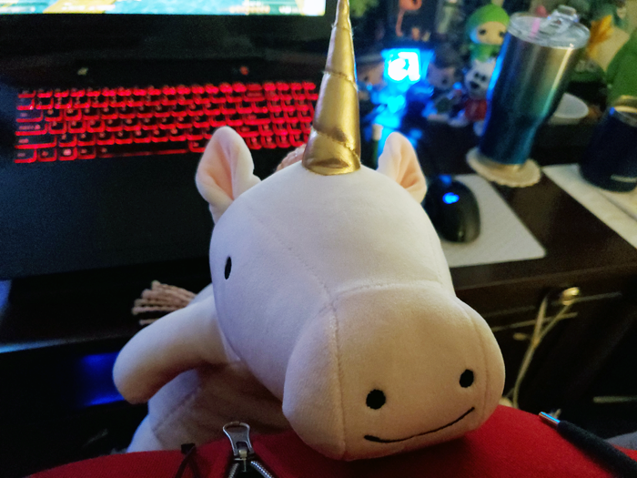 Oh hai. Oh hai.