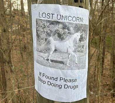 Lost Unicorn says Don't Do Drugs Lost Unicorn says Don't Do Drugs