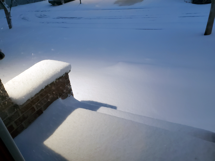 IT'S SNOWING! IT'S SNOWING!