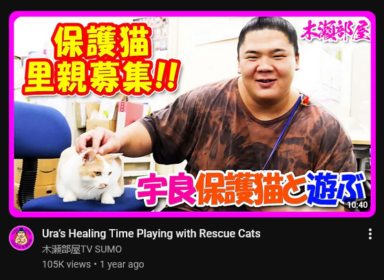 Shut-up, Youtube, you don't know me.... Shut-up, Youtube, you don't know me....