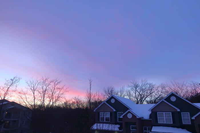 Day 346: 12/12/21
